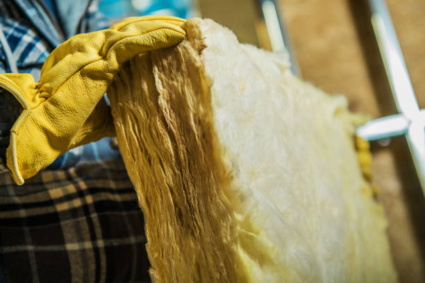 Best Insulation Maintenance and Repair in Duenweg, MO
