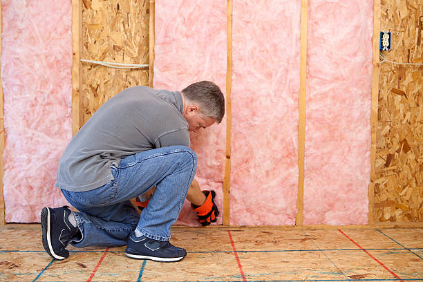 Best Commercial Insulation in Duenweg, MO
